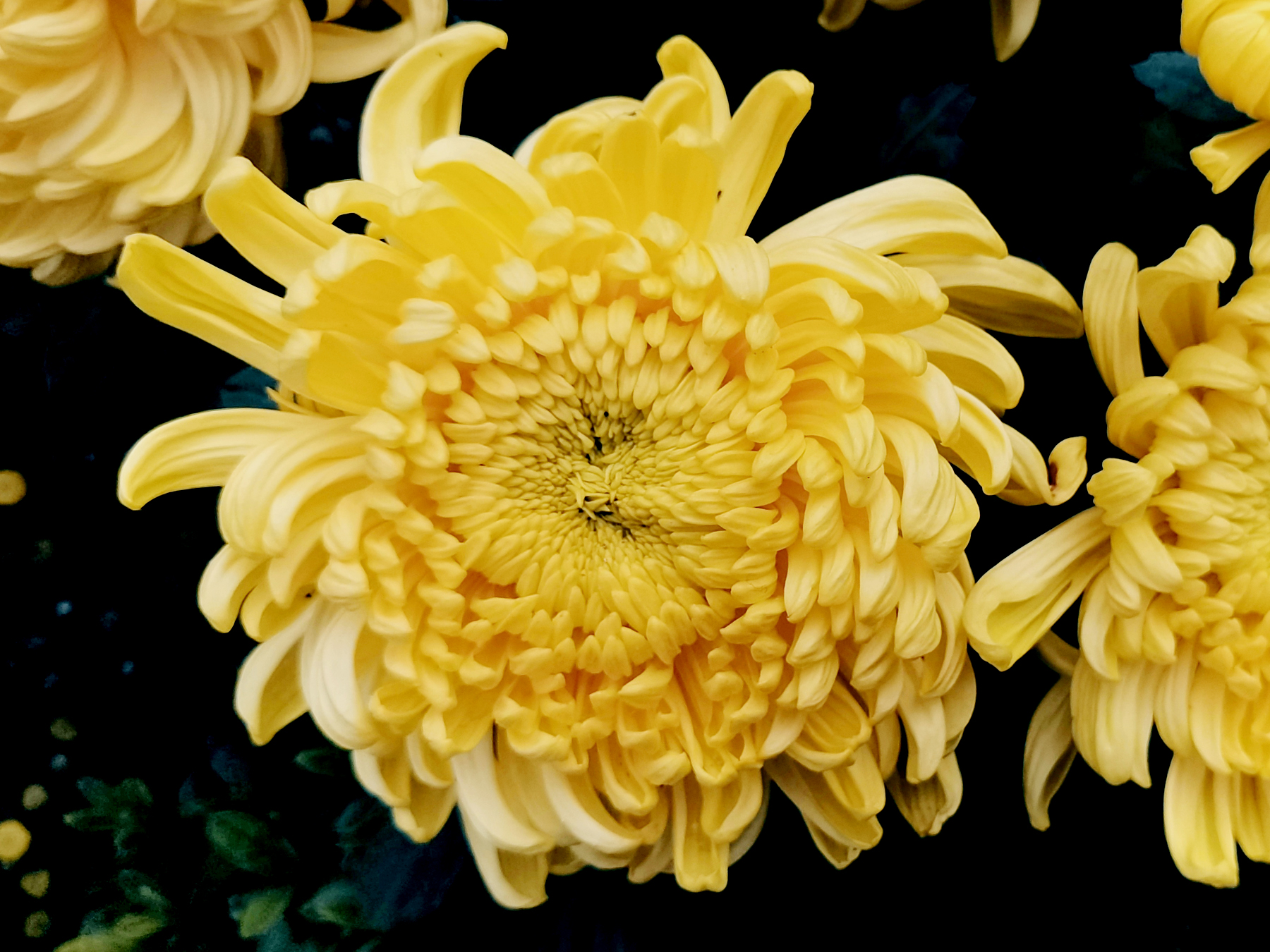 (zen)ɵҪＰԸ(ge)ص㣨ɵ(de)ҪＰԸص¼-Ʒ(pin)