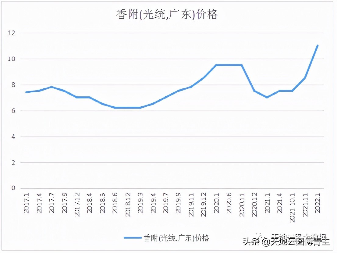 中药大数据评测∣香附减产受关注，价格持续上涨