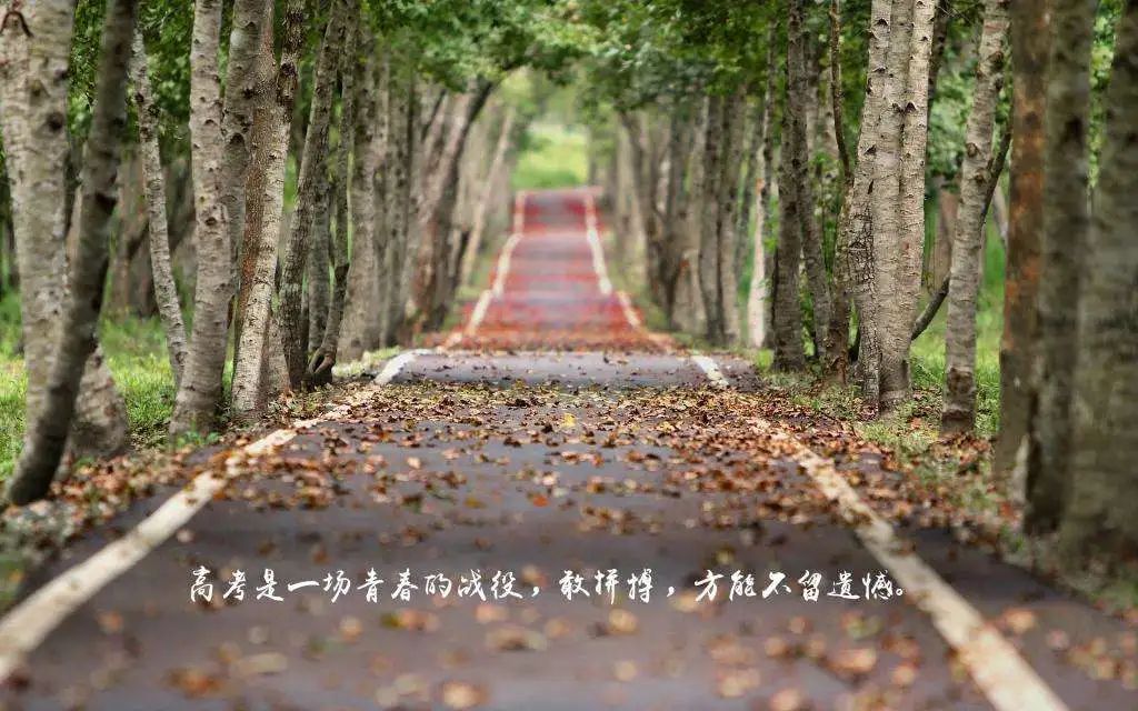 高考亦要做好本手，追求妙手，避免俗手