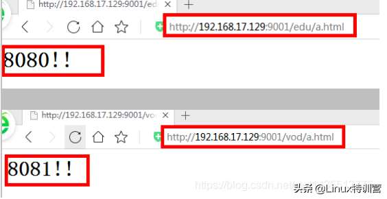 nginx--正向代理、反向代理及負(fù)載均衡（圖解 路線圖）