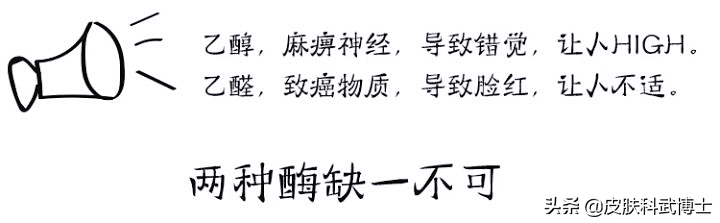 为何有些人喝完酒/甚至喝一点点酒会脸红呢？