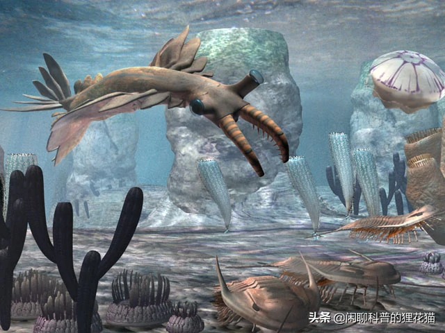 盘点史前海洋十大巨兽，从寒武纪走过始新世，每个时代顶级捕食者