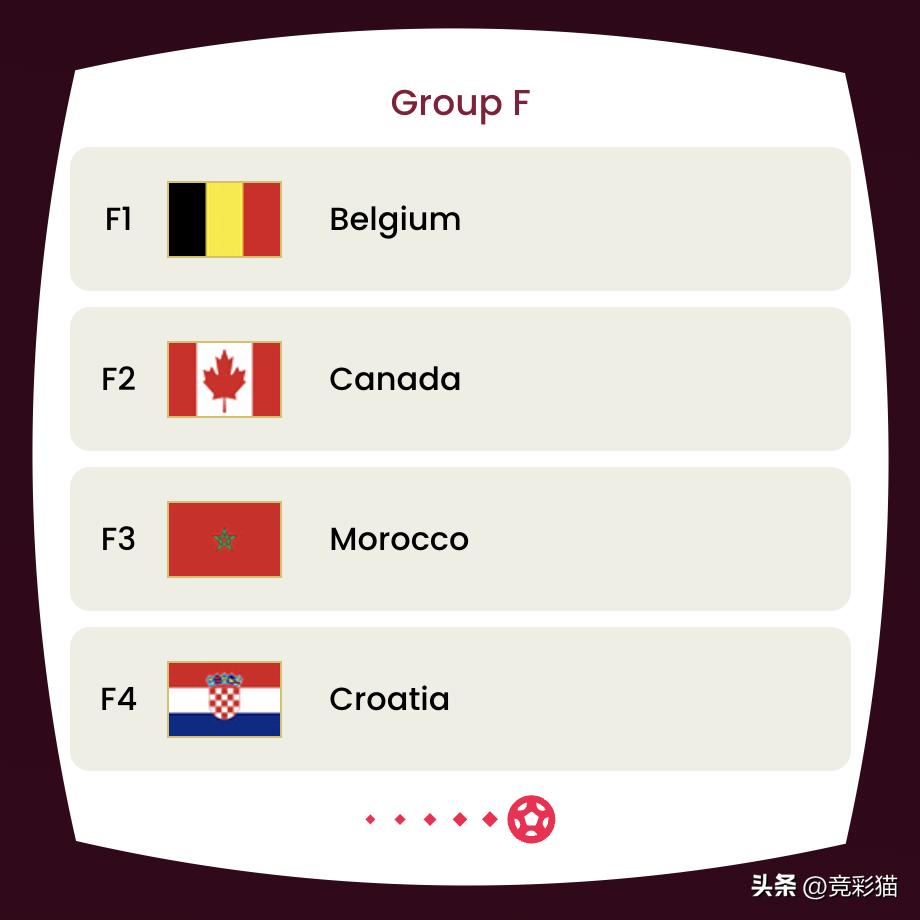 杨震：世界杯F组前瞻——比利时尚能饭否？