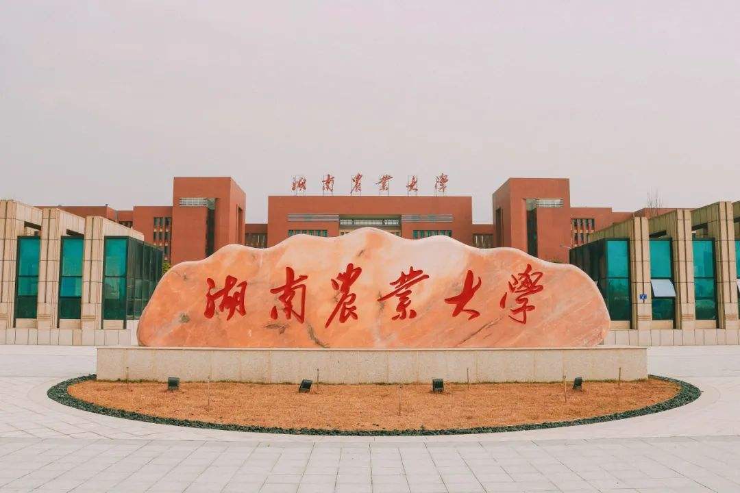 2022湖南高校预算公布，低预算、高教育质量典范，这三所潜力巨大