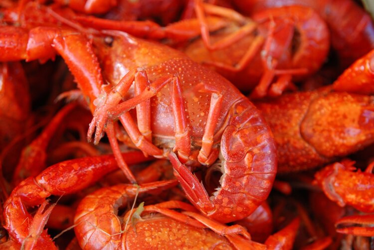 这4种食物中，可能长满了寄生虫，吃之前要长点心