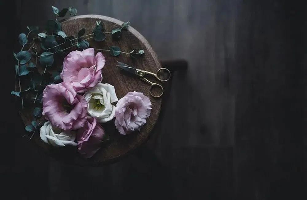 愿走遍人间所有的路，所遇皆是温柔