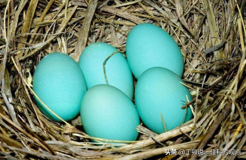 第八讲 品牌识别