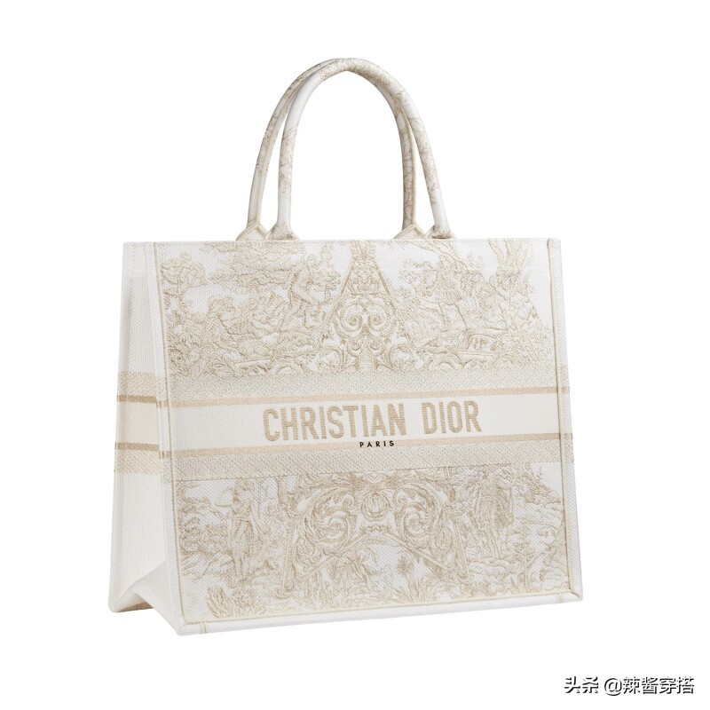 Dior Saddle、Book Tote到最新Micro Bag，一定要认识的5大经典包