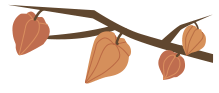 ˮӦ÷
