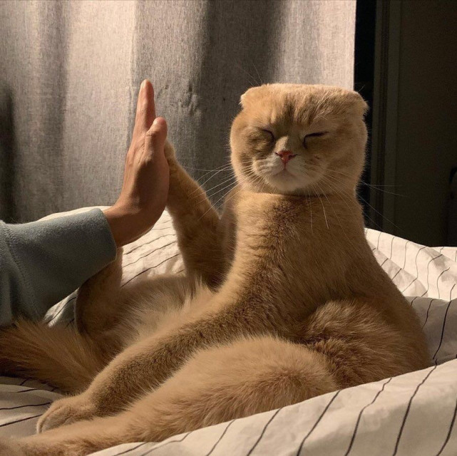 运动健身打卡文案