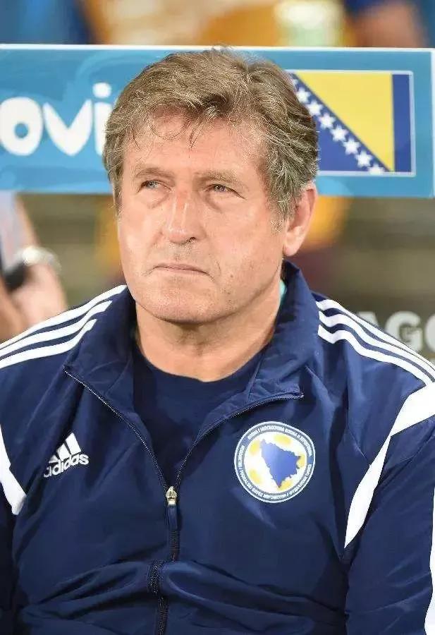 2014世界杯希腊队平均年龄（世界杯的遗憾60：2014年的波黑队）