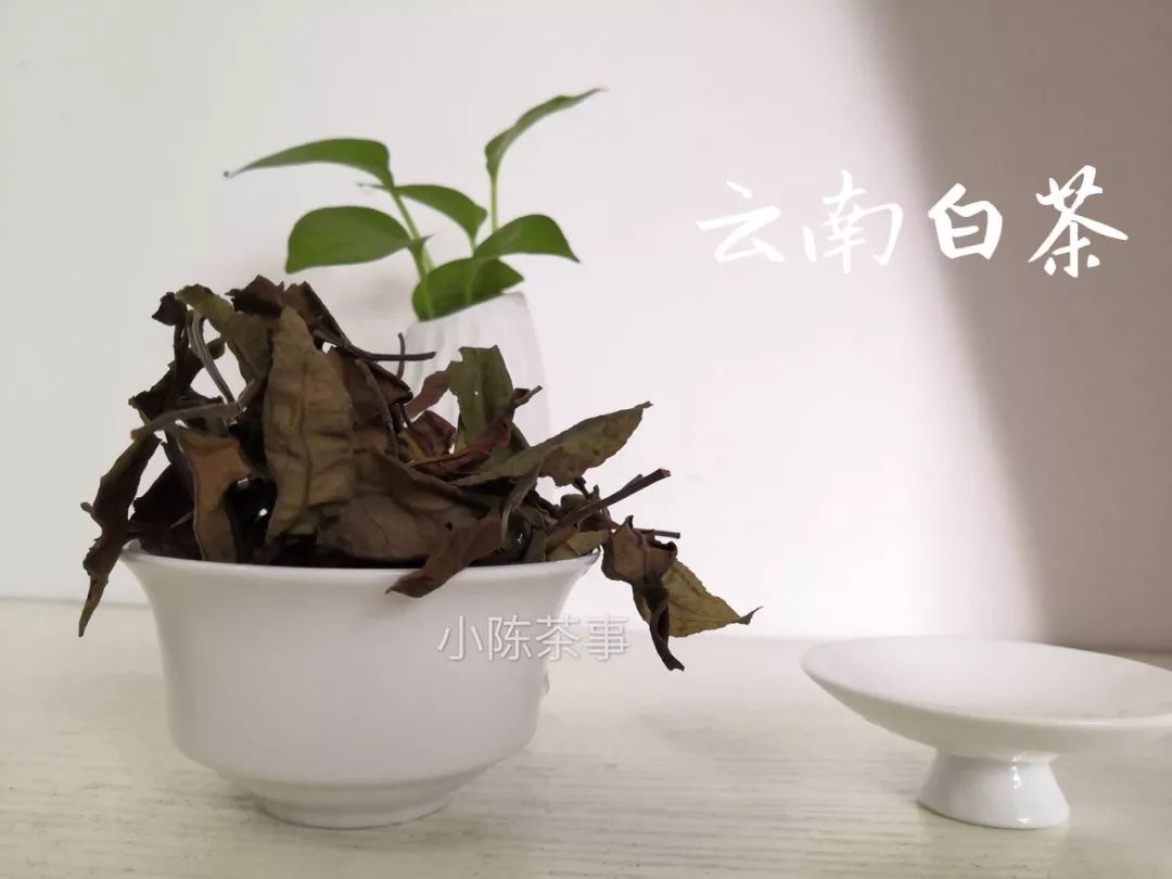 既然大红袍、铁观音都是乌龙茶，那么乌龙茶到底是红茶还是绿茶？