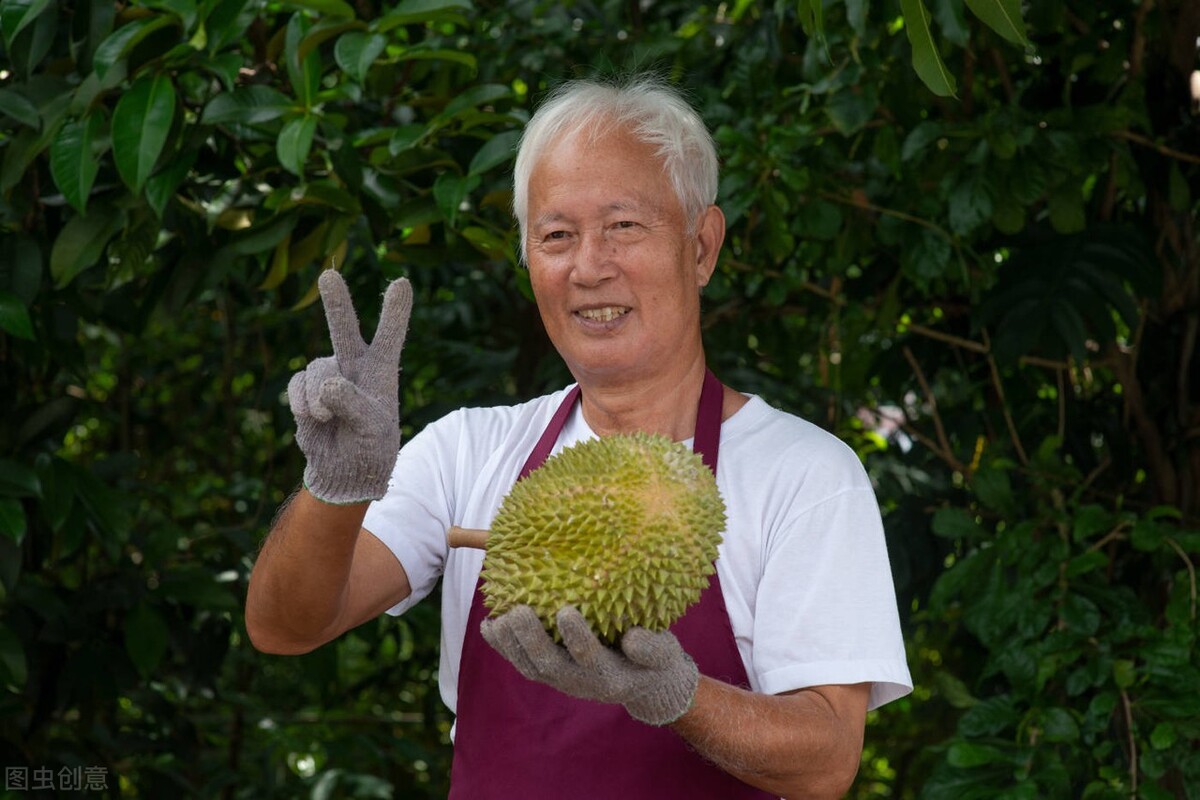 榴莲树适合在什么地方种植（榴莲适合中国什么地方种植）-第5张图片-科灵网