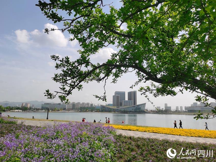 体育场朝向(东安湖体育公园：期待“太阳神鸟”的光芒)