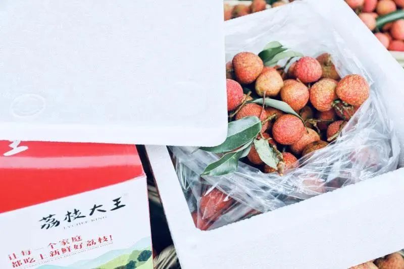 抖音电商助力广东荔枝产业走向快车道