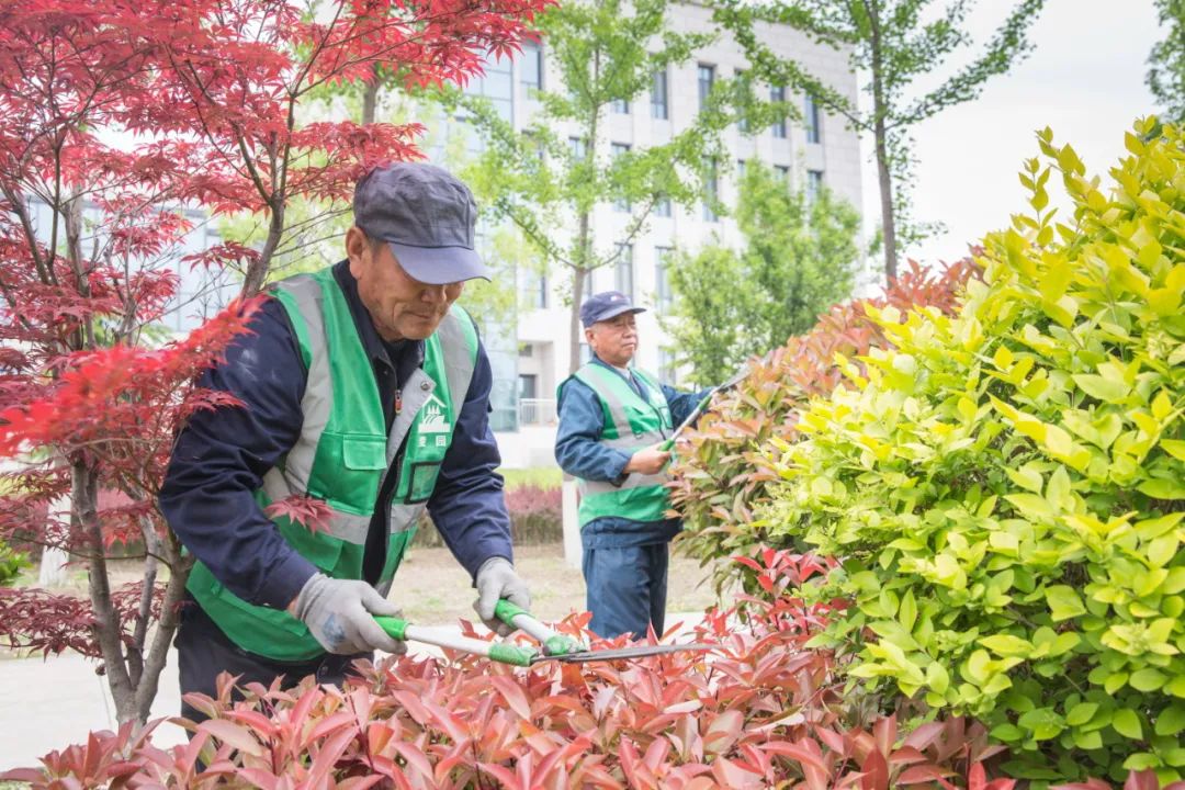 山东工业技师学院：走进金牌工院 品鉴校园资产
