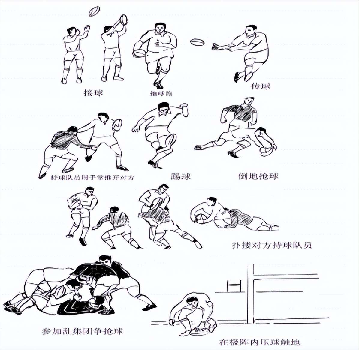 七人制橄榄球是什么制橄榄球（2022年第19届杭州亚运会比赛项目介绍之七人制橄榄球）