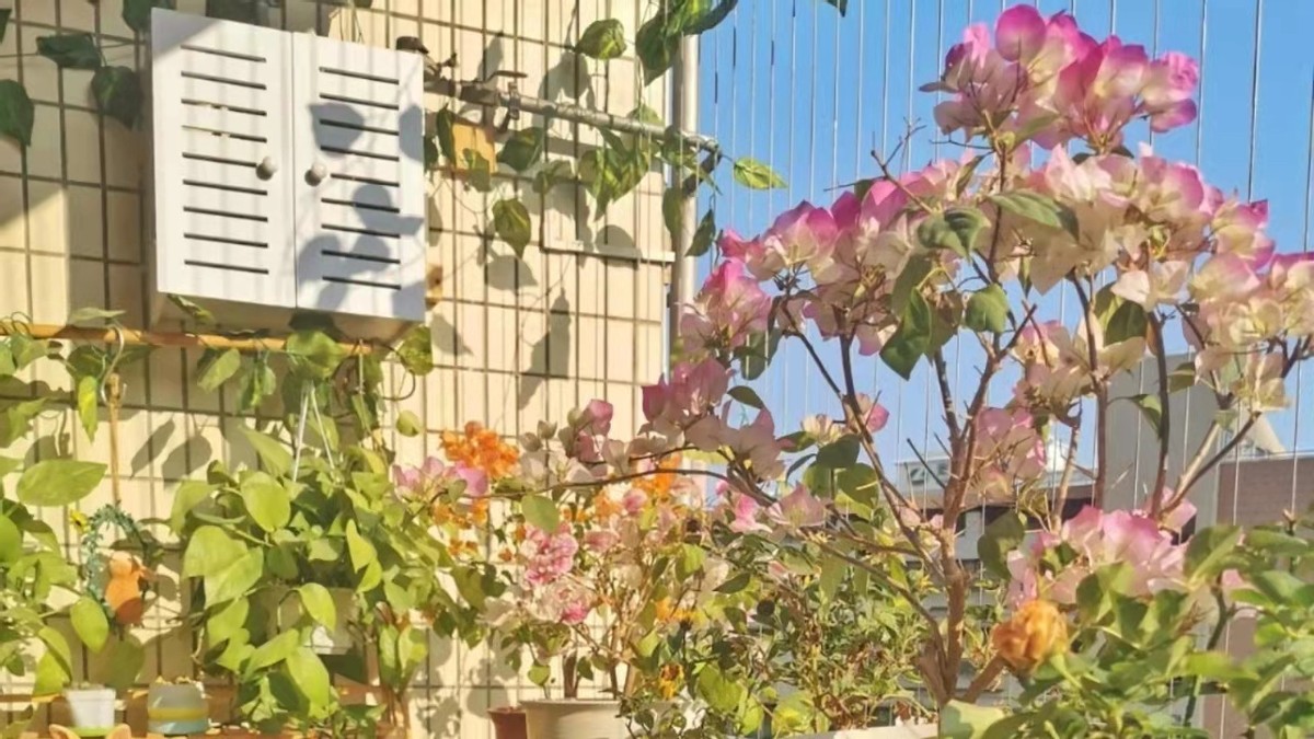 大学生将迎来“超长假期”？个别高校已发通知，学生喜忧参半