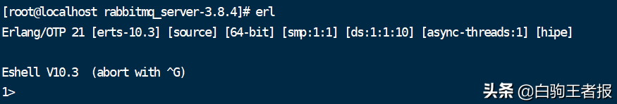 centos7安裝RabbitMQ3.8.4