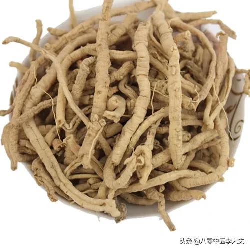 夜尿频多，遗尿，漏尿？桑螵蛸散，固精缩尿，调心补肾，远离尿频