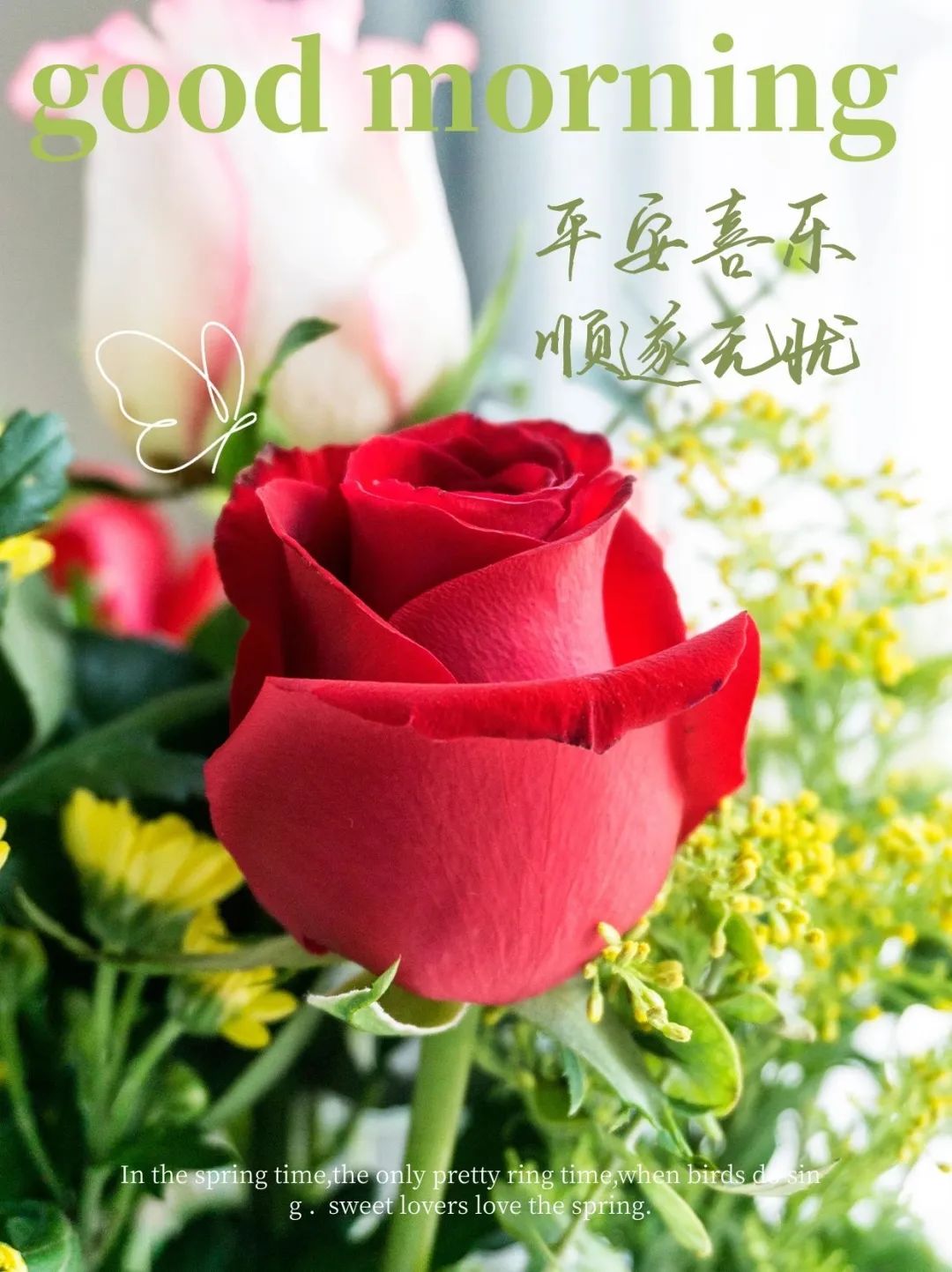 2022早安最火图片 自然风景早上好图片带字图片
