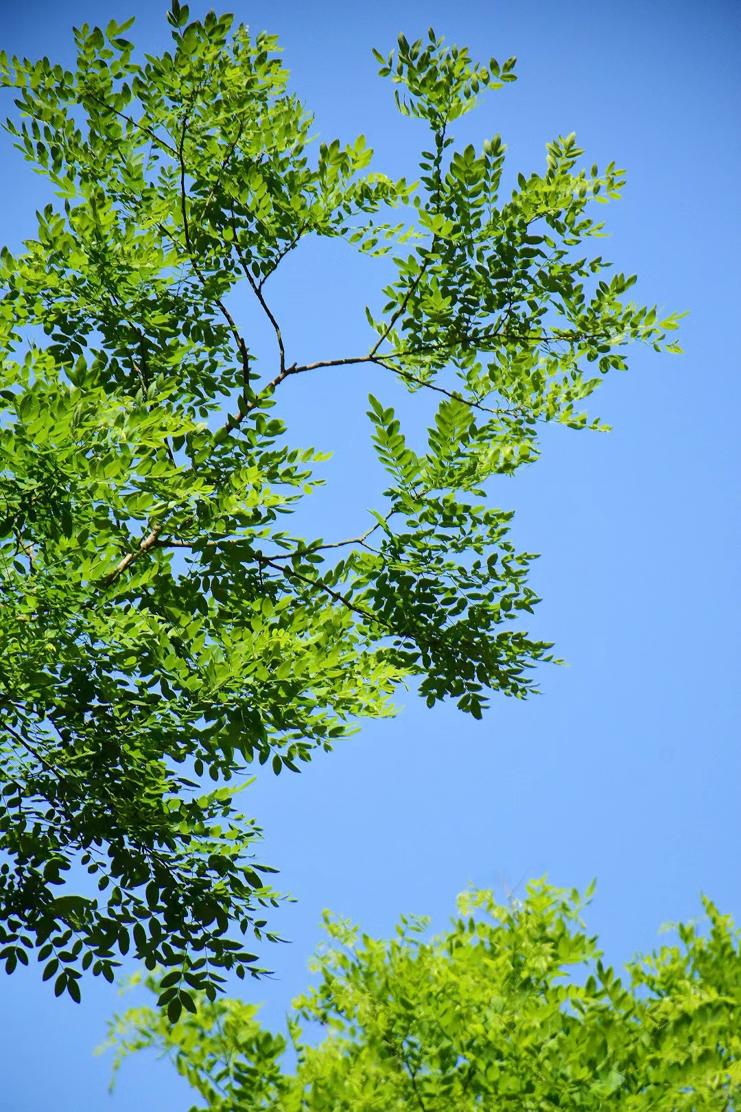 刑法上如何认定国有出资企业