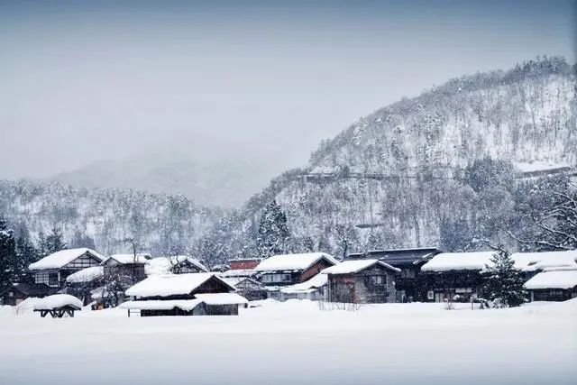 10首冬雪诗词，江天暮雪，落尽琼花，浪漫了整个冬天