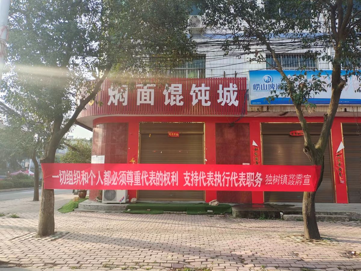方城县独树镇：宣传贯彻代表法 助力乡村振兴