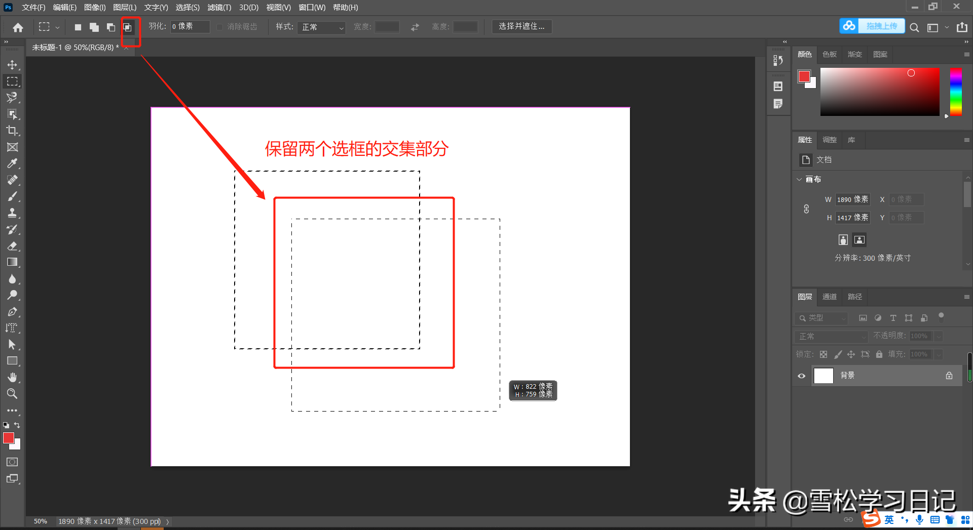 PS入门基础篇：选区的认识和高级操作及必用快捷键（初学者笔记）