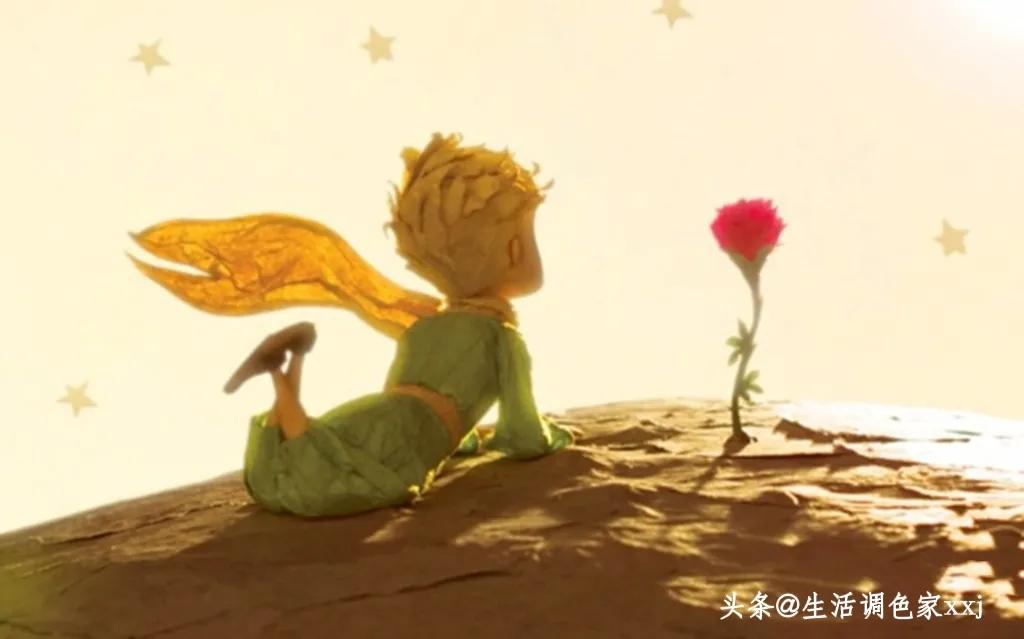 休闲人生，从抄书打卡开始（8）在复杂的社会里，如何活出精彩？