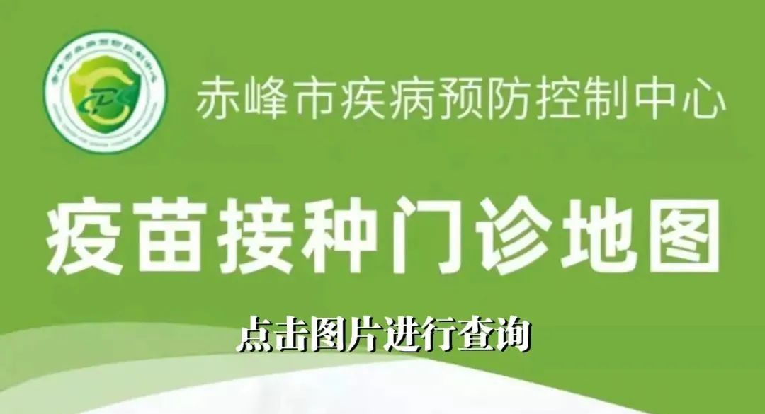 赤峰车管所违章查询,赤峰车辆违章查询