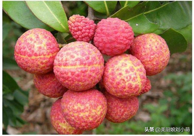 含维生素c的水果（维生素C含量最多的10种水果）