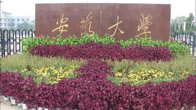 被14所双非超越！安大的“材料科学与工程”一流学科还保得住吗？