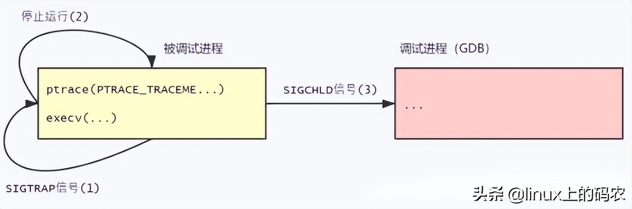 一篇掌握GDB调试程序的核心技术-ptrace系统调用与使用示例