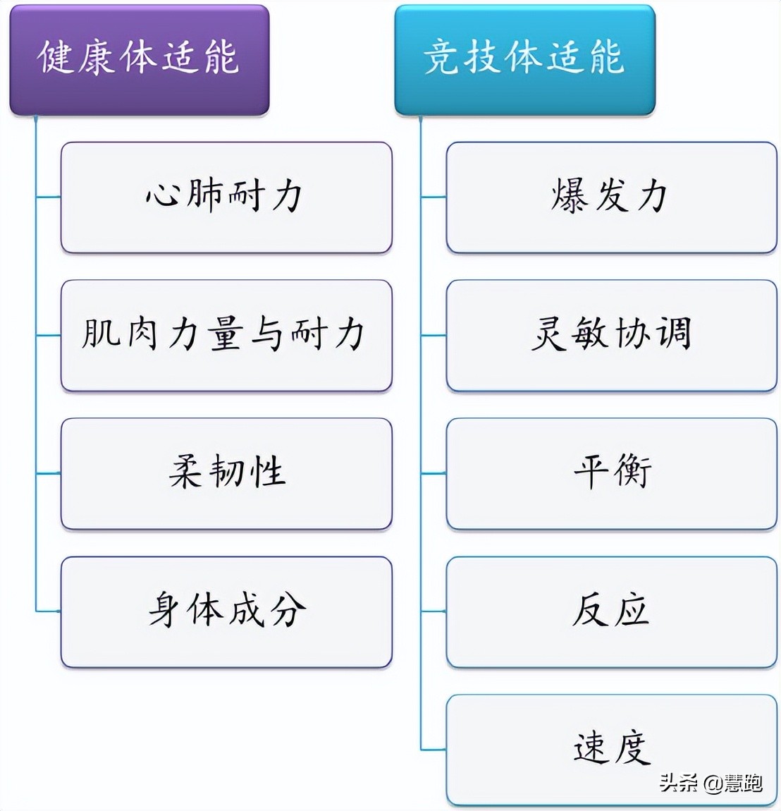 nba训练方法有哪些(基普乔格非常重视这方面训练：现身说法跑者该如何科学训练？)