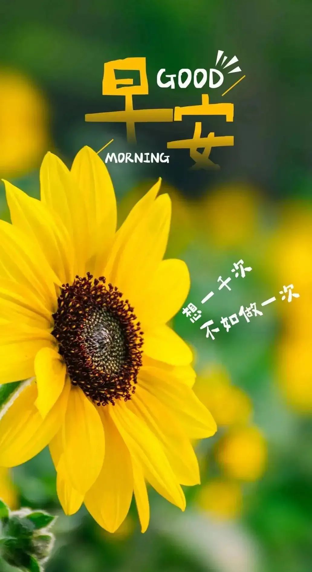 05.07」早安心语,正能量很火语录句子 早上好励志经典图片