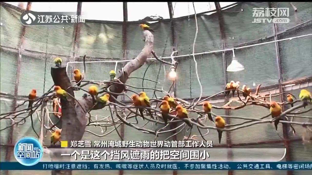 “冬衣”空调齐上阵 常州淹城动物过冬也时尚