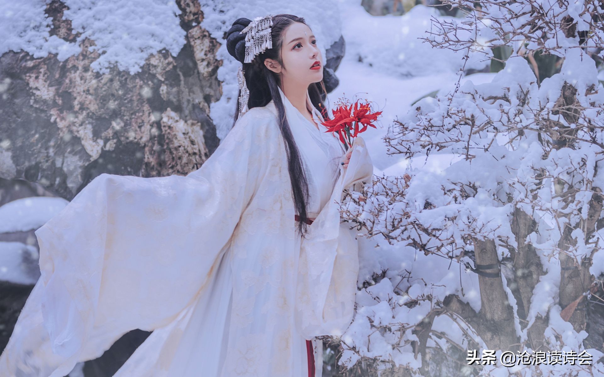 好诗如茶，温暖寒冬，广东才女34首诗词，写出人间烟火之美