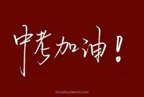 学会欣赏他人之美，让平凡生活绽放温暖与力量