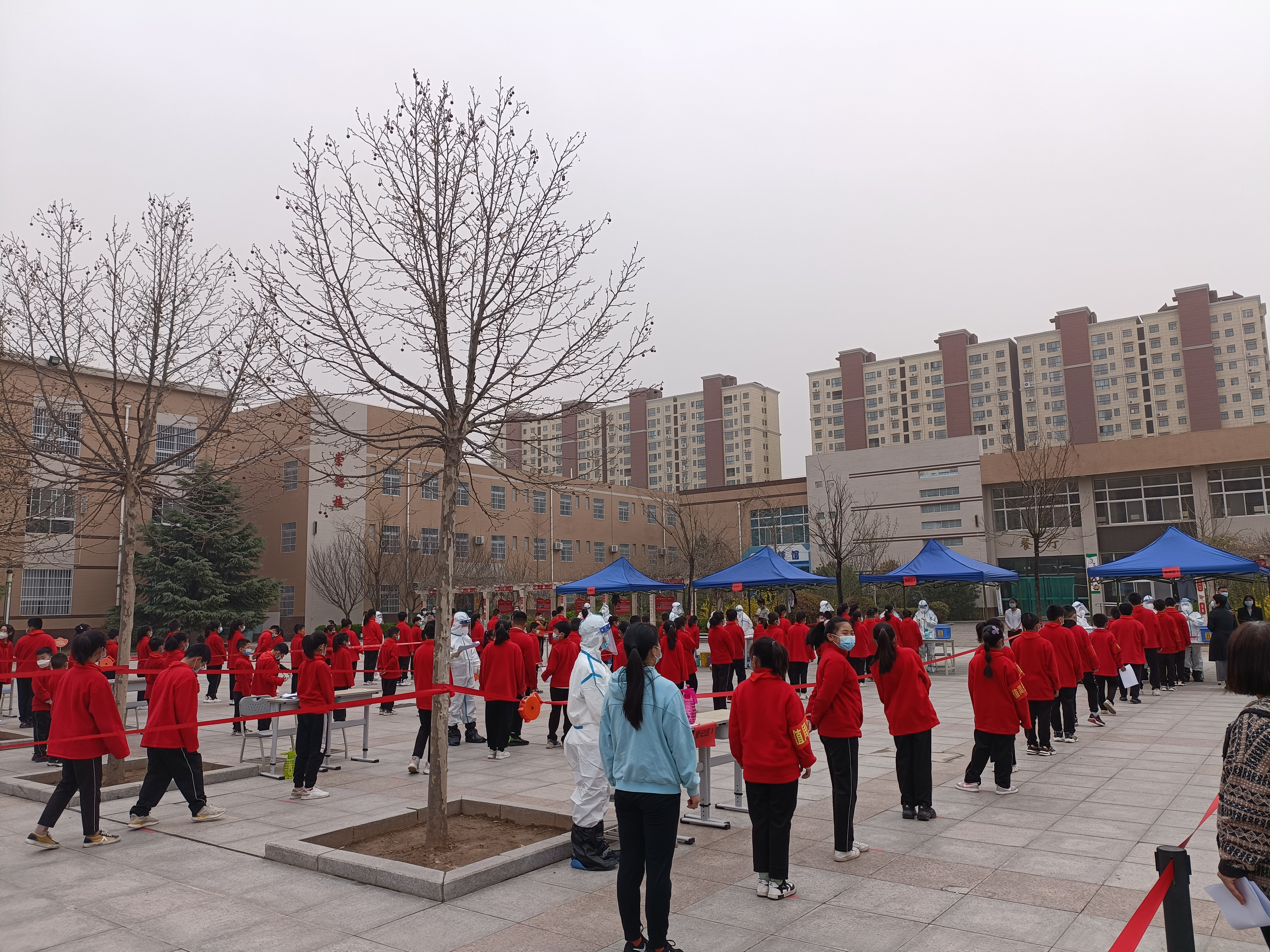 迅速行动！大荔县完成近10万名师生全员核酸检测