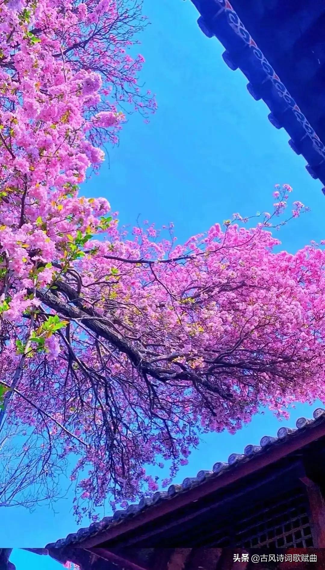 100句既有正能量，又温暖人心的句子，简短文艺，治愈心灵