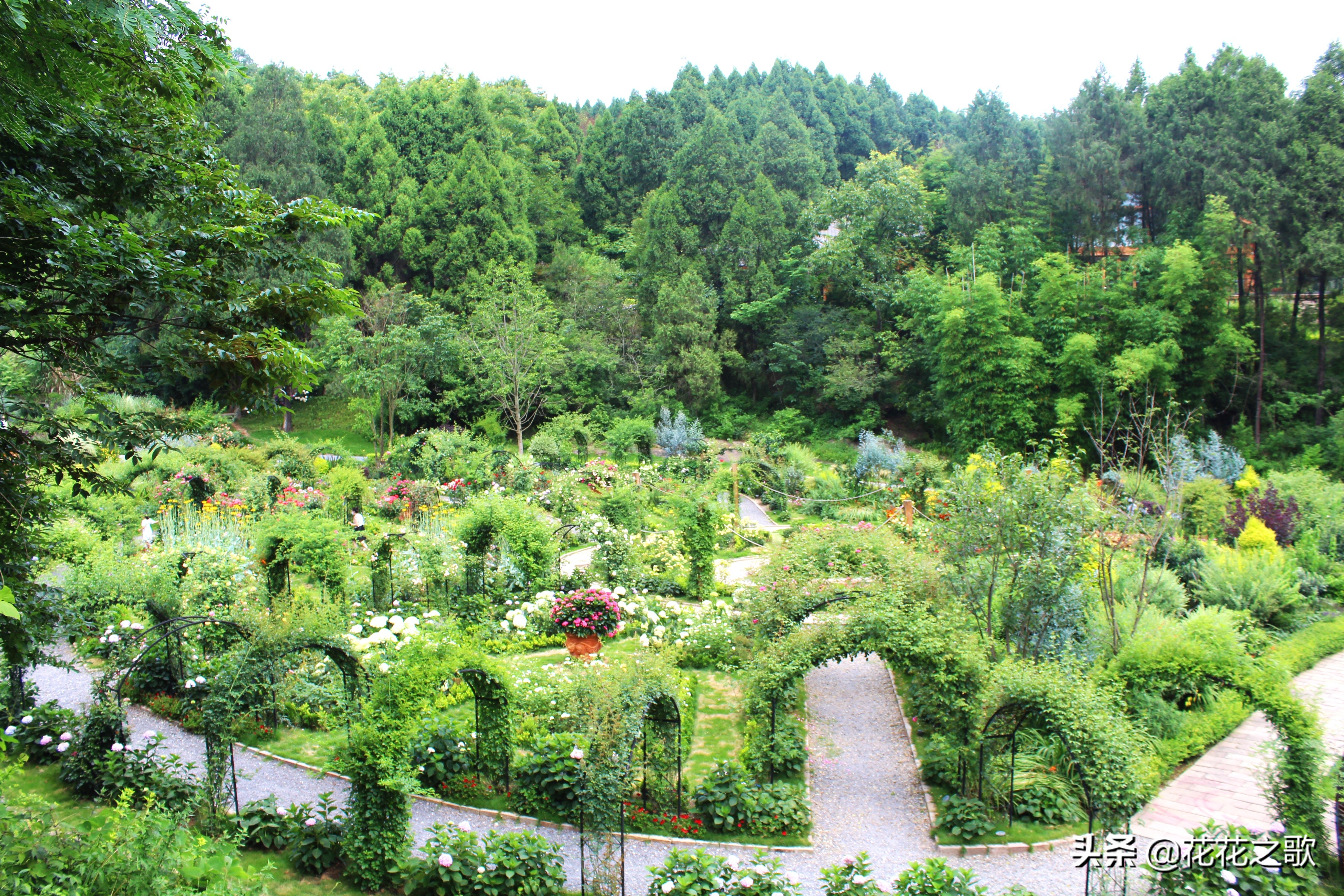 双旗美村,这是一个可以尽情和花草合影的地方