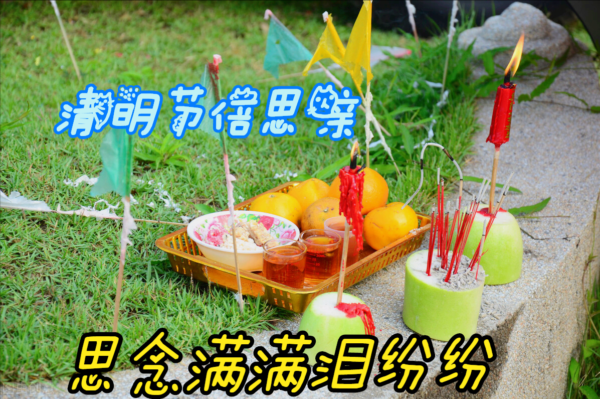 一花一思念，清明细雨花漫天，年年祭扫仙人墓，岁岁感念亲人情