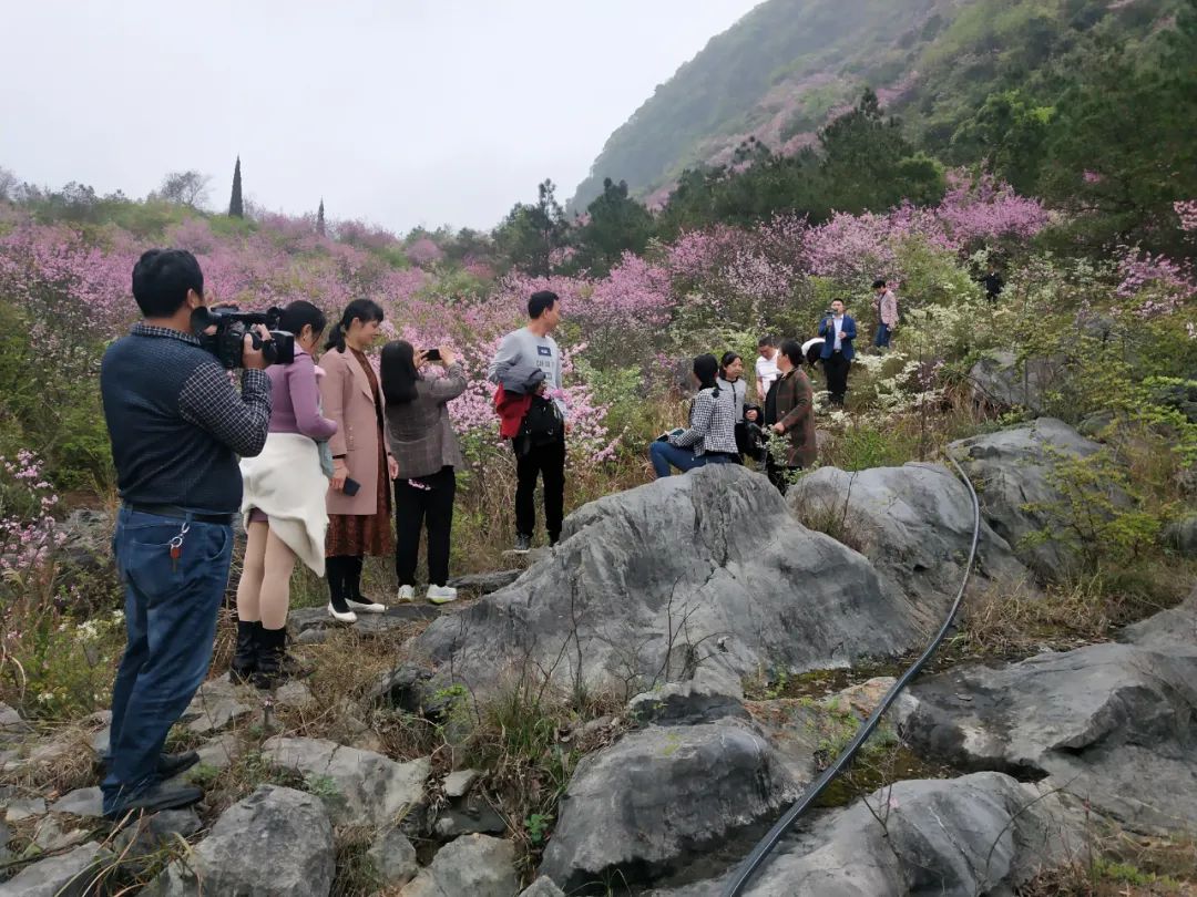 桂林电视台(全州电视台走进此村采访红色故事，不料景色非常迷人)