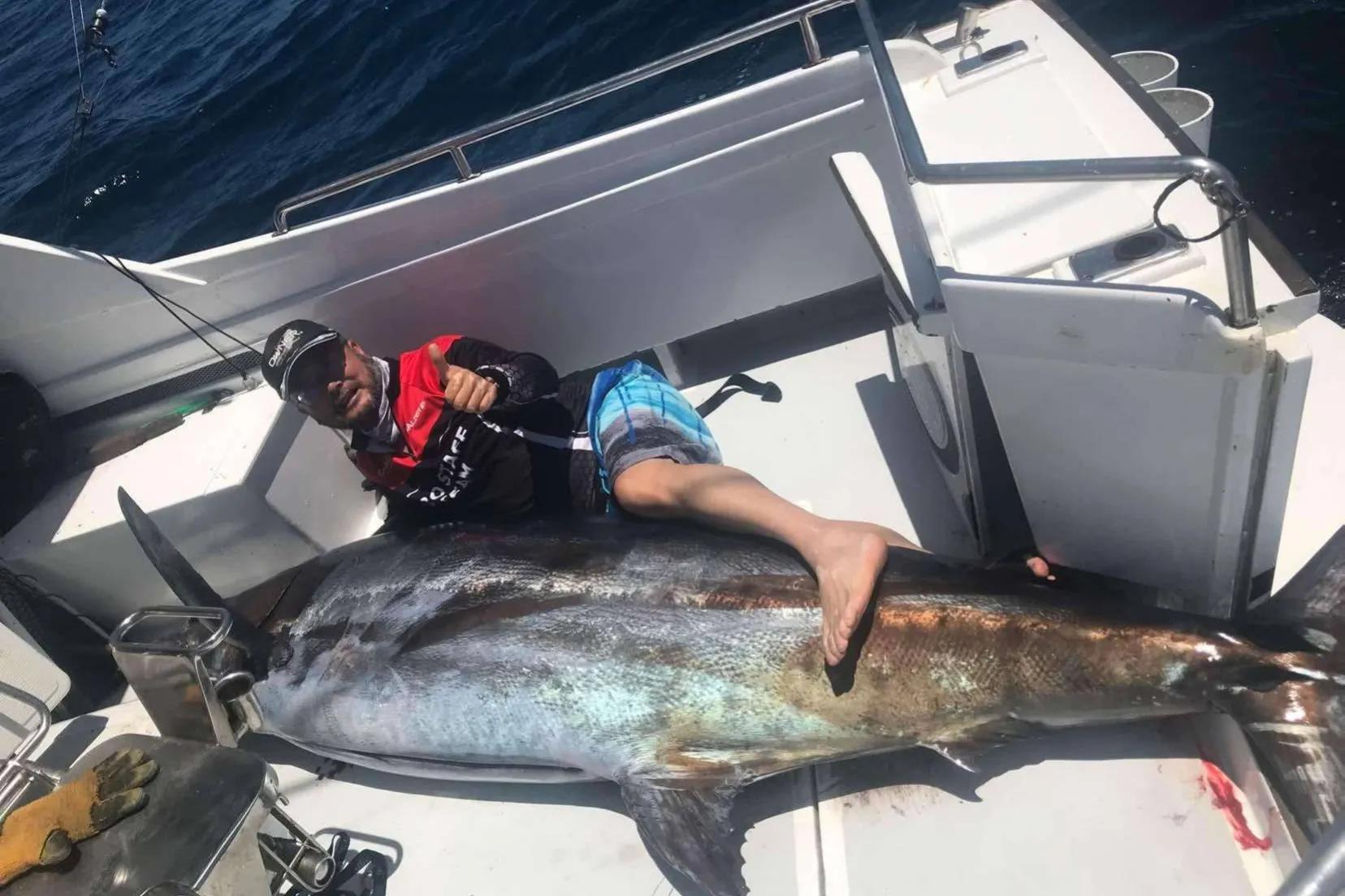 渔民捕获超级箭鱼(海洋中的“活鱼雷”，体重超1200斤，一击就能刺穿15厘米厚的船板)