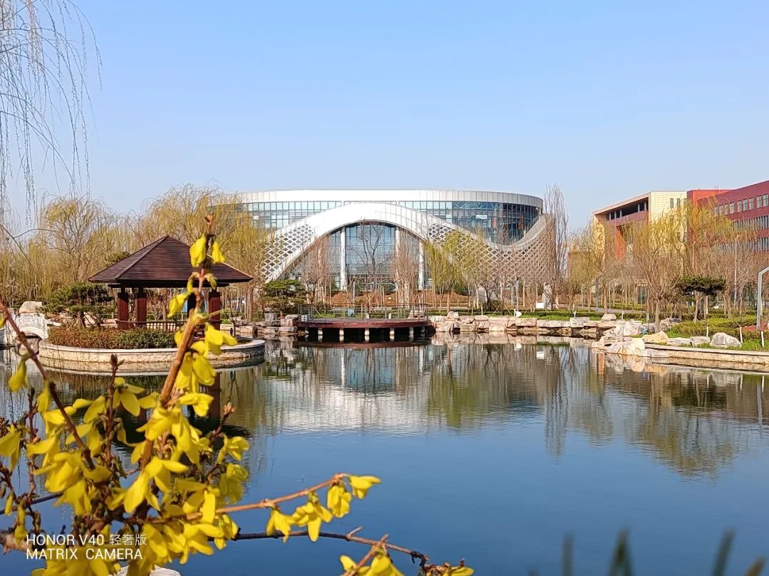 潍坊四中学子朱奕诺:星夜不负赶路人,时光厚爱自信者