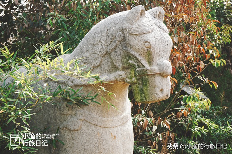 一座建在古墓上的城市，三月美成了桃花源！花开正好没门票，去浪