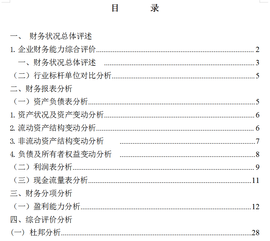 详细版企业年度财务分析报告