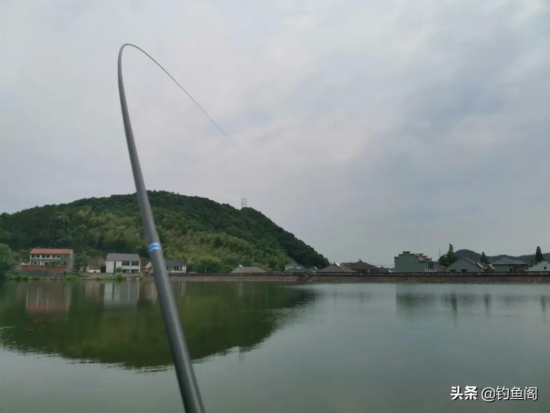 如果钓鱼也有段位,青铜白银该如何区分?看看你属于哪一阶段