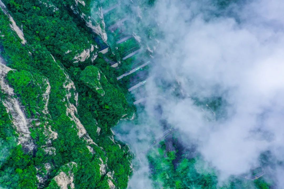 美爆了！这个夏天云台山云海频现迎颜值巅峰